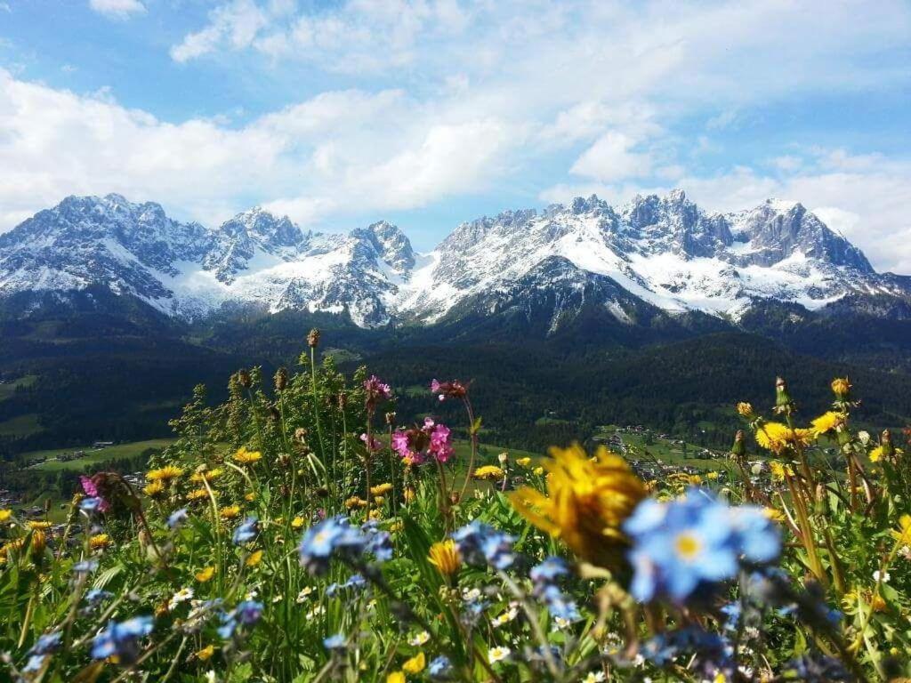 Luxuschalet Happy Home Tyrol Елльмау Екстер'єр фото